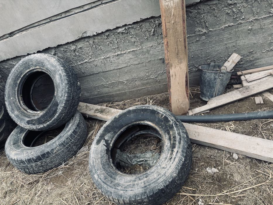 Покрышкалар сатылады