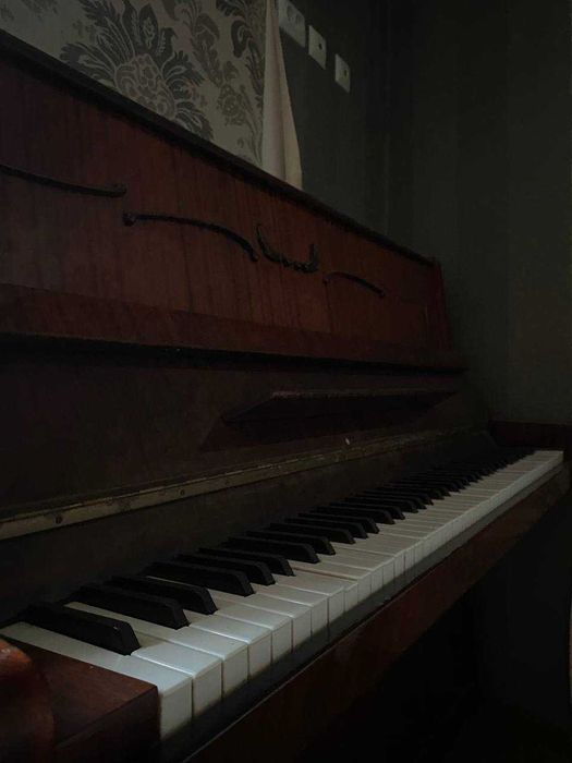 Пионина сотилади