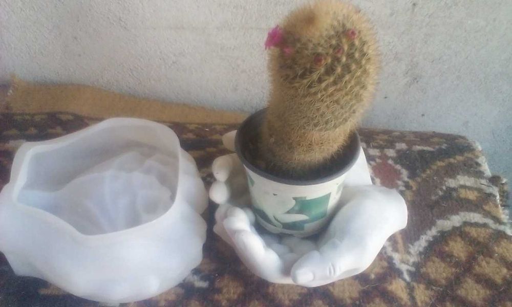 Matrita silicon noua