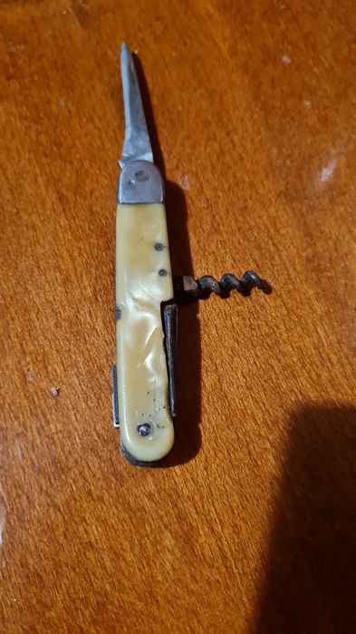 Briceaguri vechi comunism, Solingen