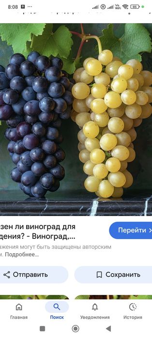 Прибыльный бизнес