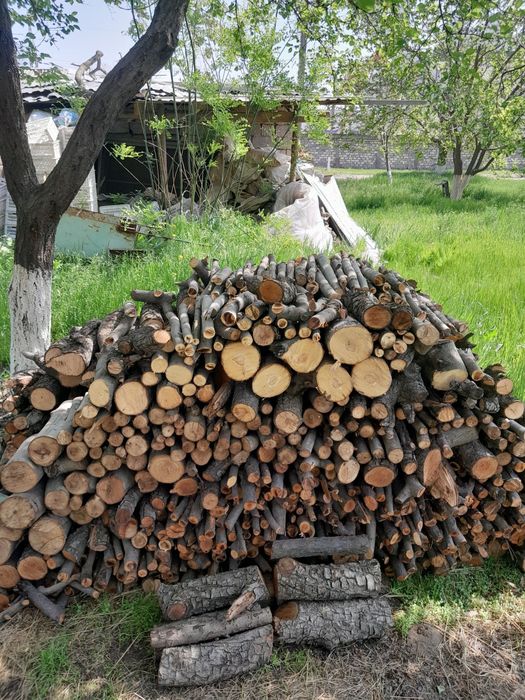 Дрова Фруктовых деревьев