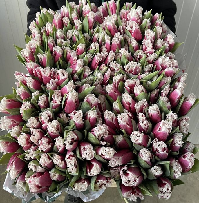 Тюльпаны оптом,розы,пионы,