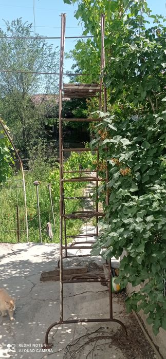 Лестница, стремянка