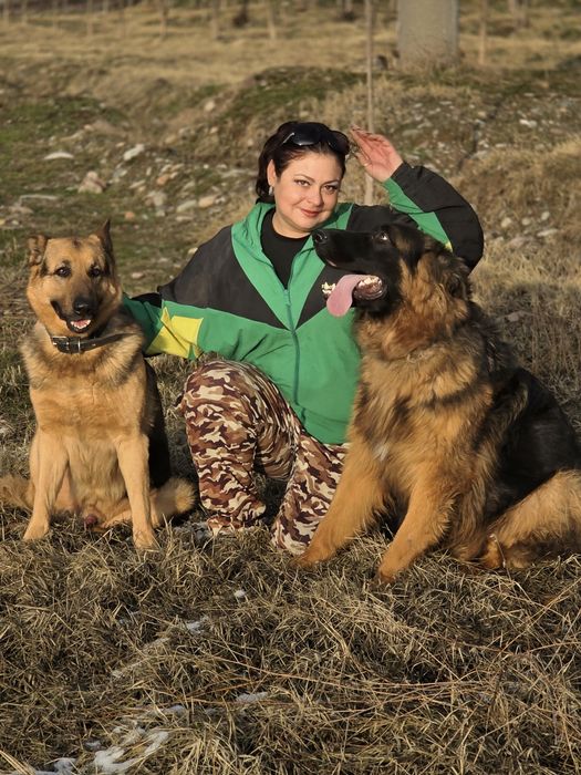 Профессиональная дрессировка