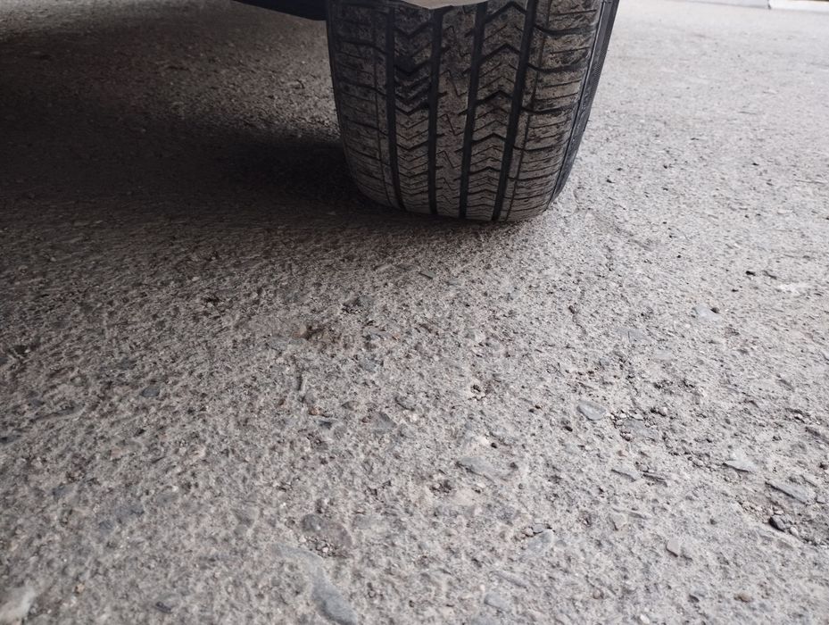 Mnexia 3 2021 kraska toza