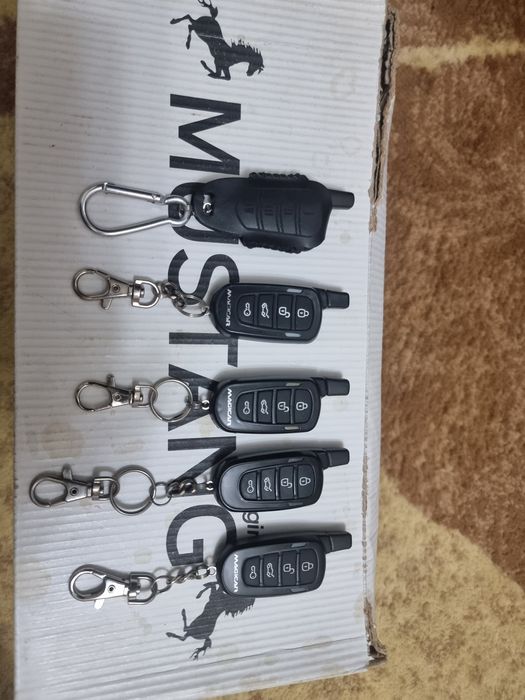 Kichkina pulchalar bor