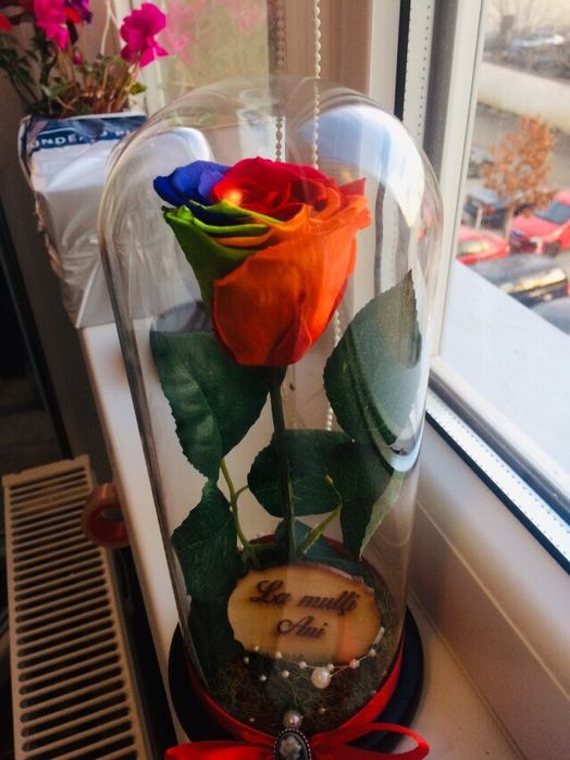 Cadou criogenat ideal pt orice aniversare