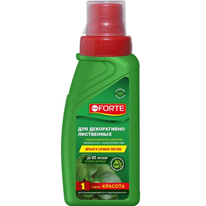 Bona Forte средство по уходу за комнатными растениями