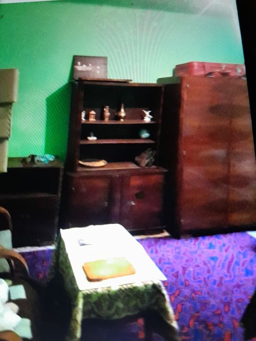 Garsoniera la padurea neagra