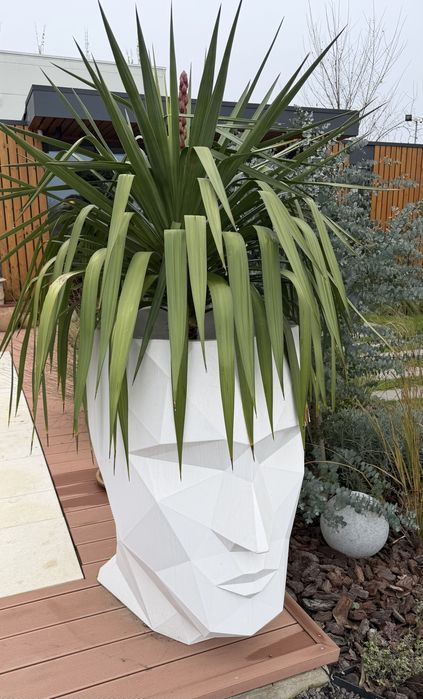 Ghiveci minimalist/ chip uman / fata umana