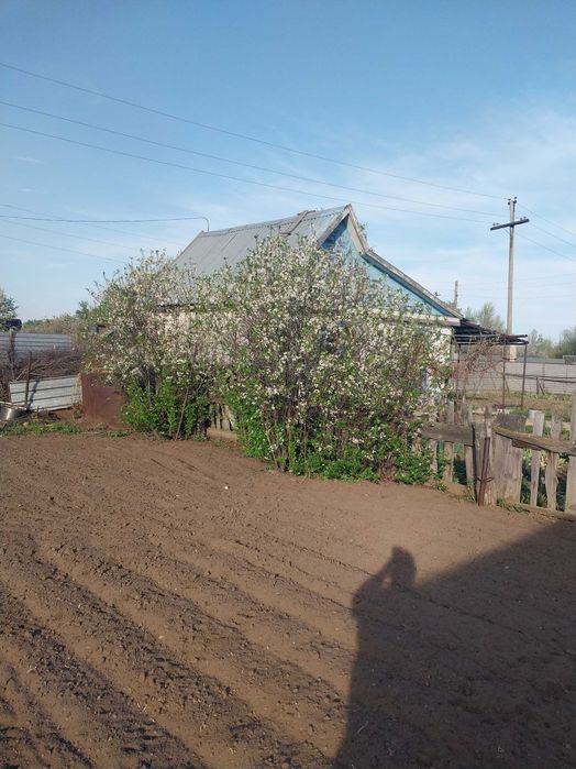 Продаю дачу цветущий сад