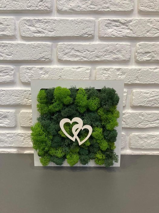 Картини със скандинавски мъх