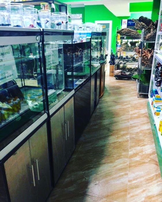 Аквариумистика в "Живом Уголке" в Таугуле