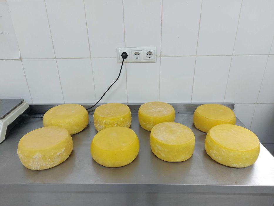 Vand produse tradiționale din lapte de vacă