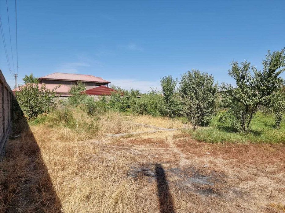 Недвижимость Земля