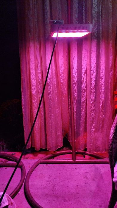 Светильники для теплиц