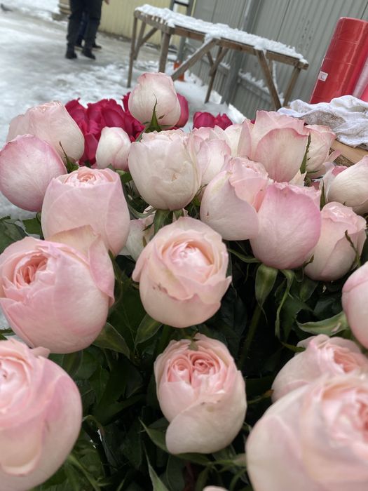 Цветы розы 70см жетесу