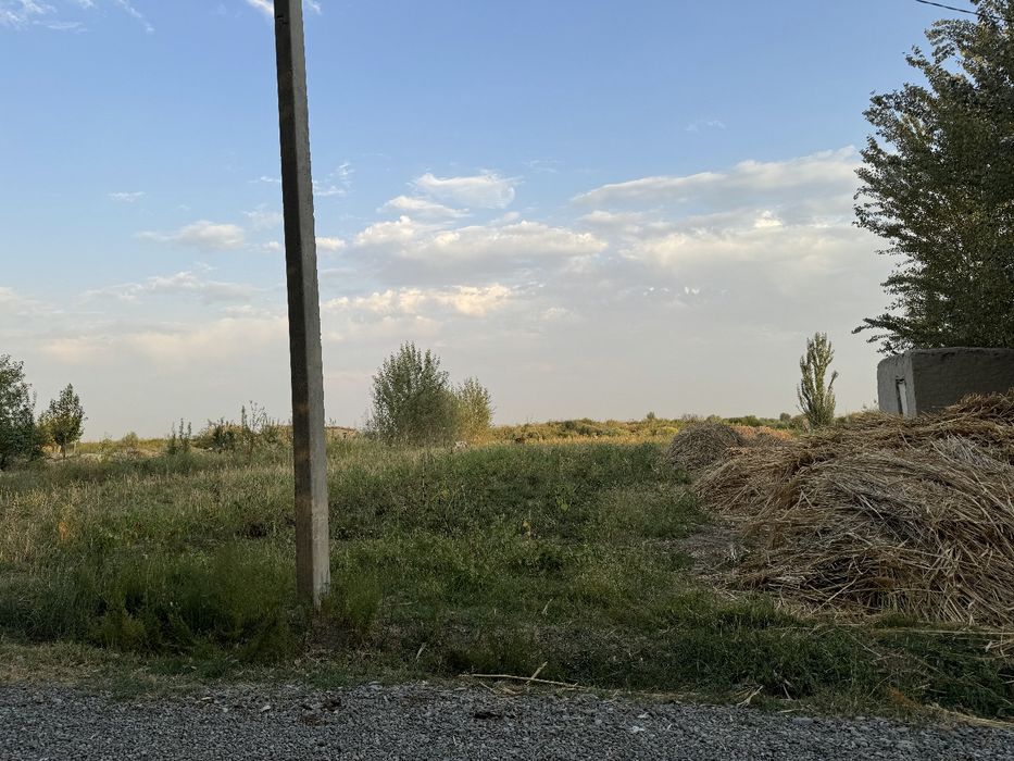 Сирдарьё Сардоба Участок 25 соток