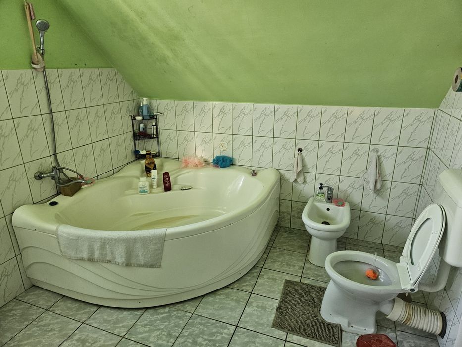 Casă 2 familii / firmă + livadă, 1700 mp teren, lângă Satu Mare – 129.900 €