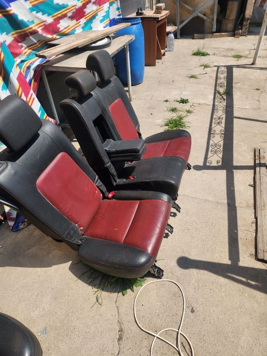 Sideniya kaptiva ortasi