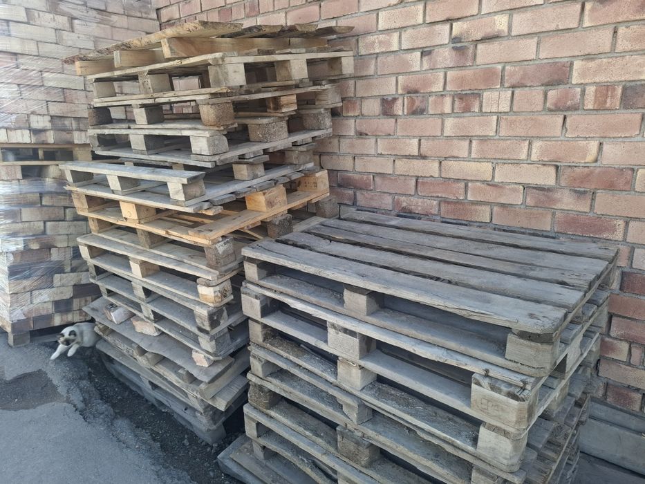 Поддон продам разные размеры 22 штук