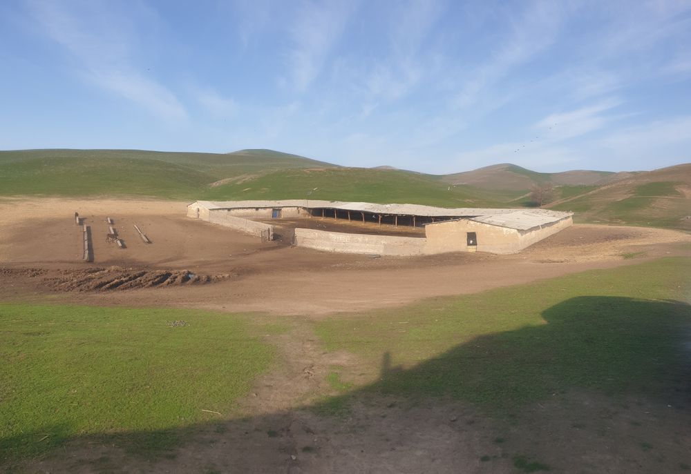 Куй кура сотилади 15 сотих куй бокишга мулжалланган