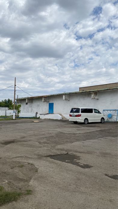 Действующий рынок