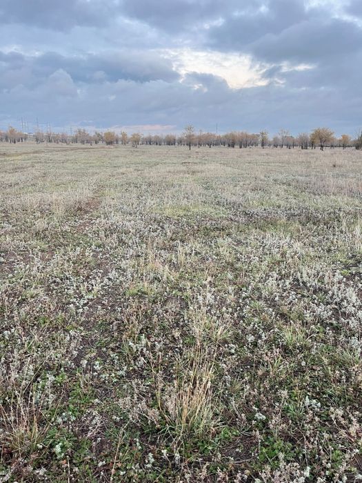 Земельный участок