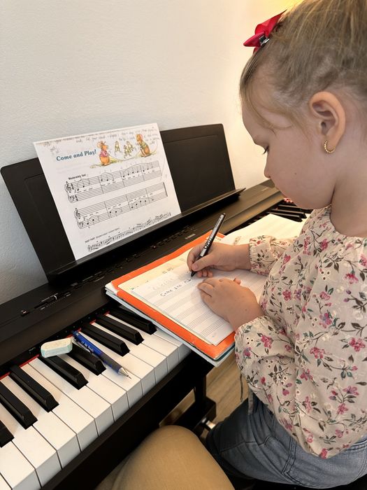 Lectii pian, teorie muzicala