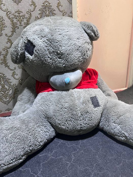 Teddiy yangi tez soʻriladi pul zarur