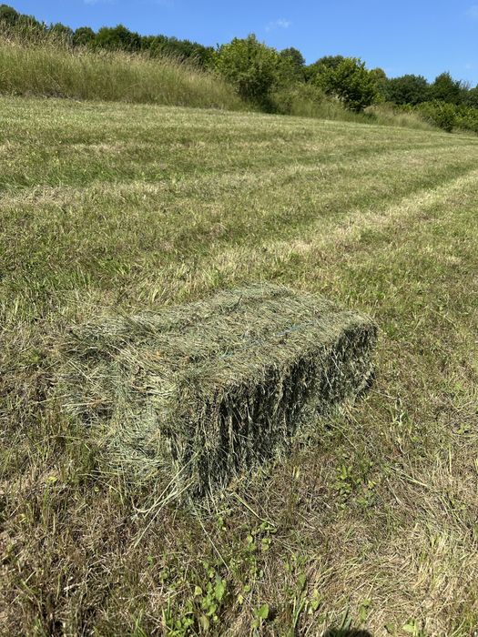 Vând baloții fân, otavă 2025