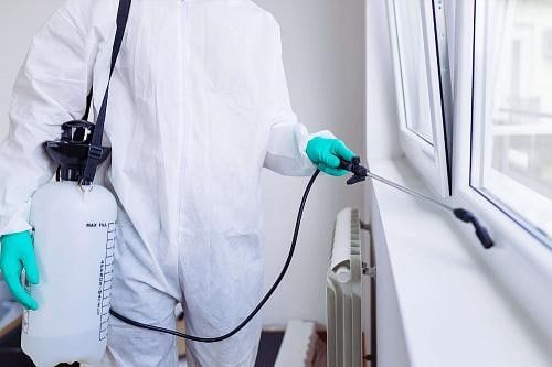 Dezinfeksiya xizmati. Дезинфекция