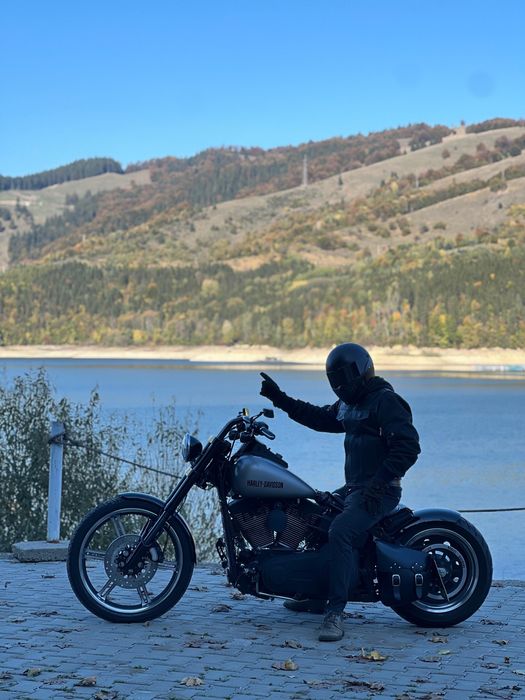 harley davidson  custom 2007