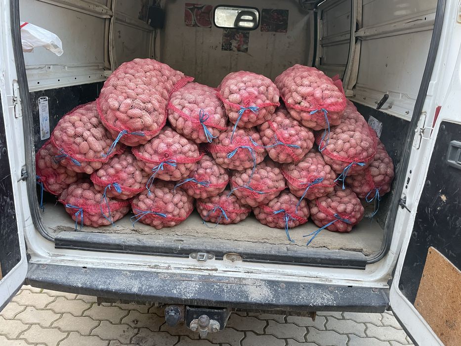 Cartofi pentru animale