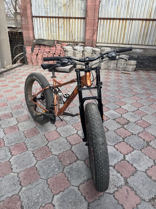 Cruzer aligator велик
