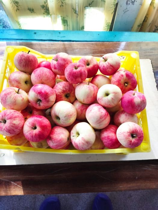 Срочно продам дачу