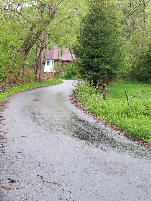 Teren-5000 mp pe drumul spre Muntele Gaina