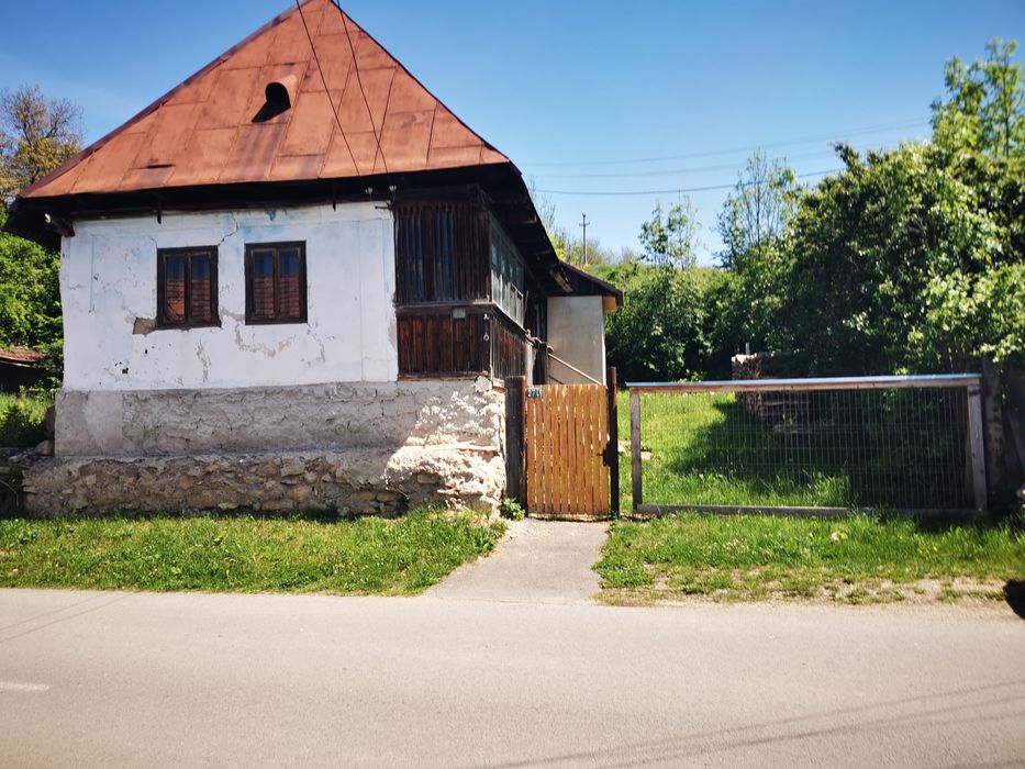 Casa de vânzare izvorul crisului