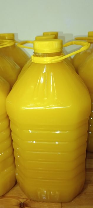 Мёд с подсолнуха