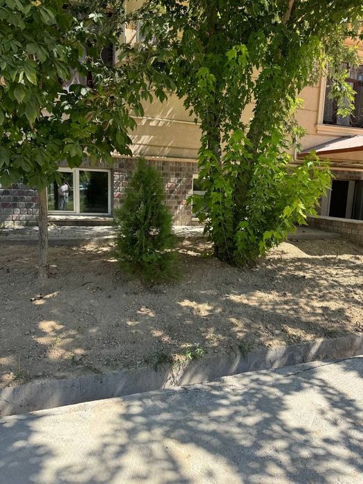 Продантся не жилое помещение Мирабадский район  305м²