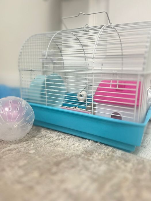 Хомяк  с домиком