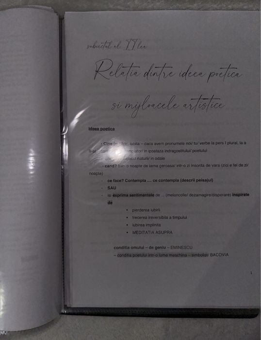 Dosar bac istorie+romana