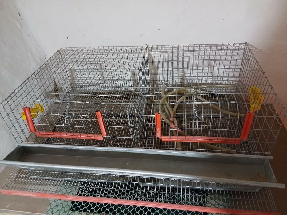 Cușcă pentru prepelițe