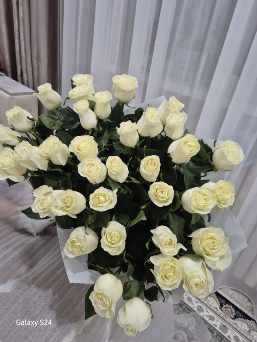 Белые метровые розы