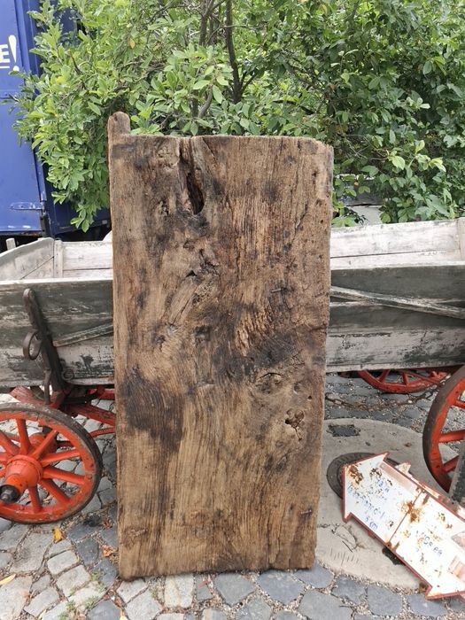 Ușă veche de la pivnița casei, anul 1800
