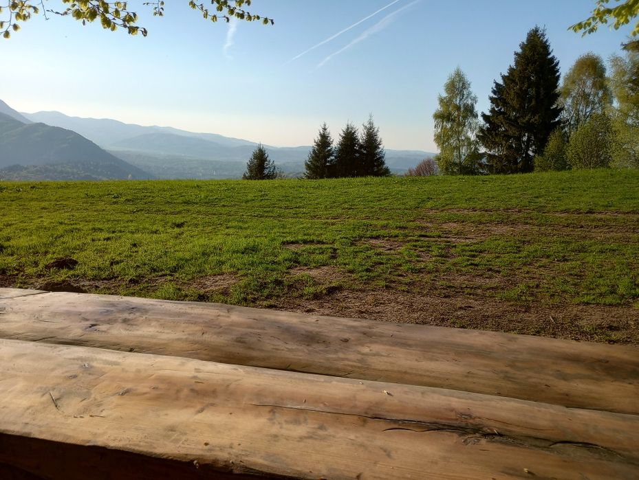 Cabană la munte Bran