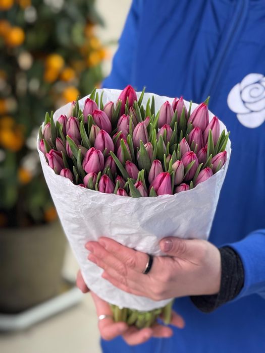 Тюльпаны оптом и