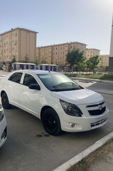 Cobalt Midnight 2025