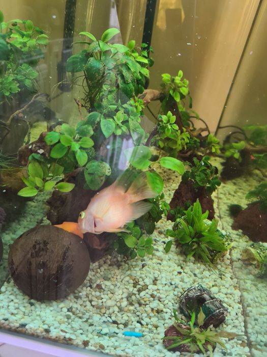 Продам аквариум 140 литров